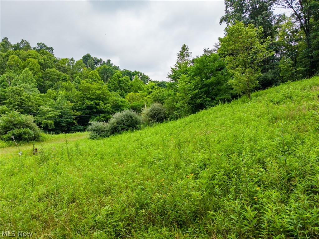 Sheepskin Road Lower Salem OH 45745