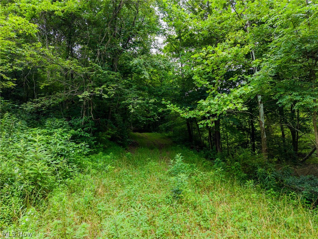 Sheepskin Road Lower Salem OH 45745