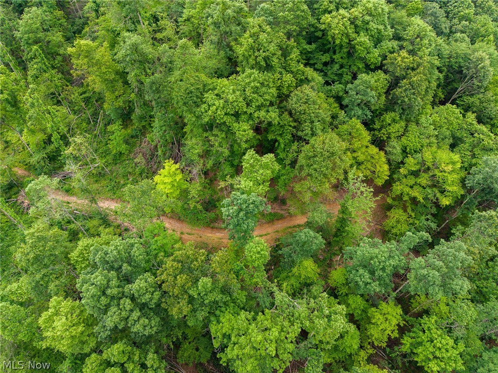 Sheepskin Road Lower Salem OH 45745