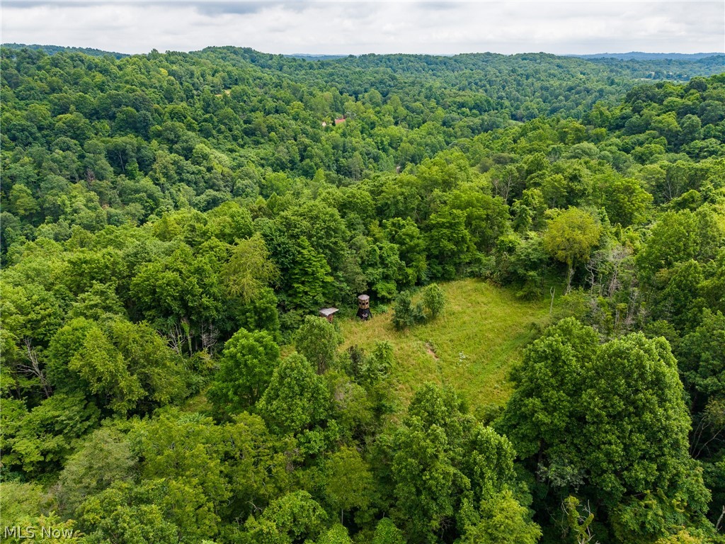 Sheepskin Road Lower Salem OH 45745