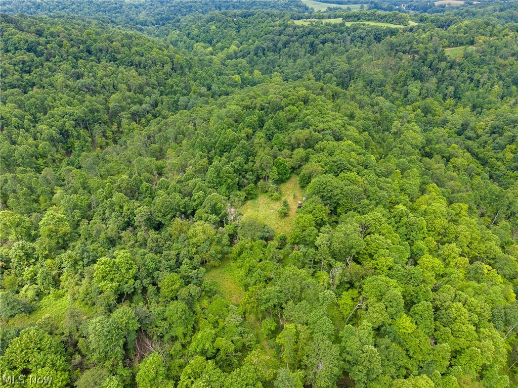 Sheepskin Road Lower Salem OH 45745