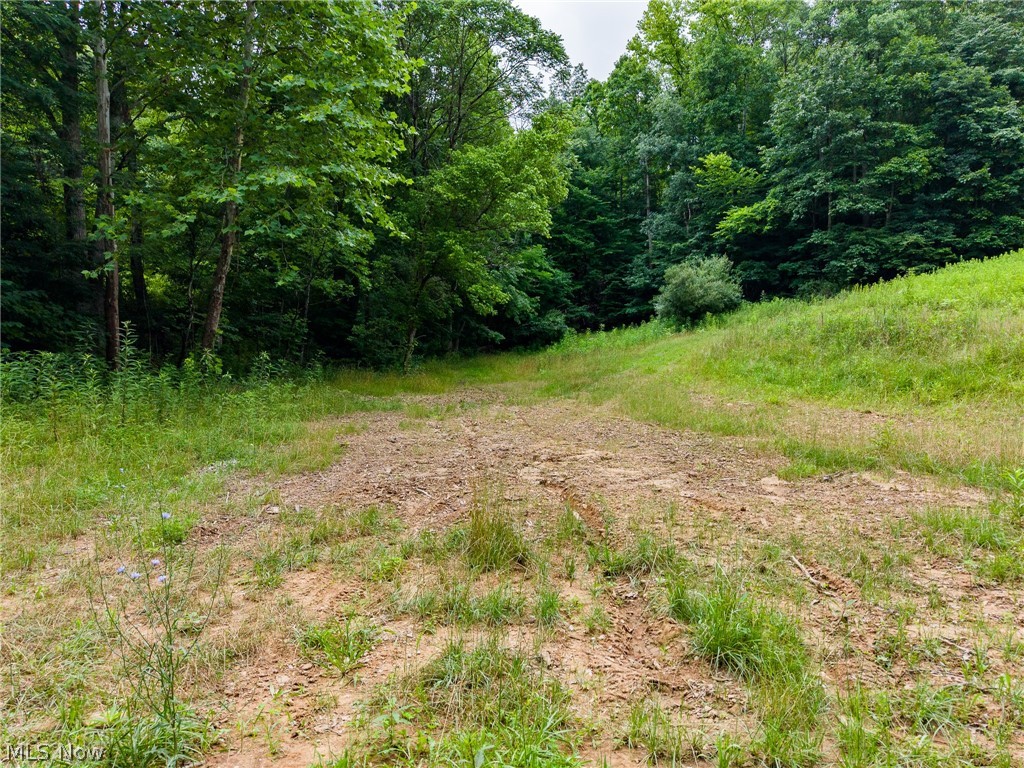 Sheepskin Road Lower Salem OH 45745