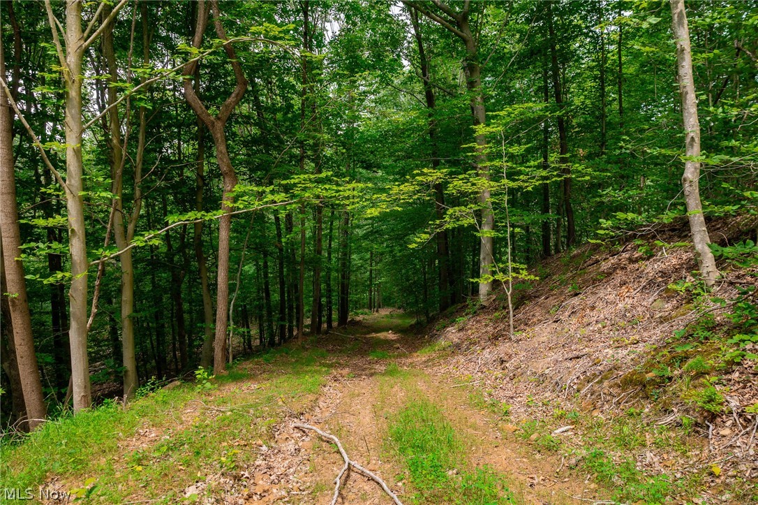 Sheepskin Road Lower Salem OH 45745
