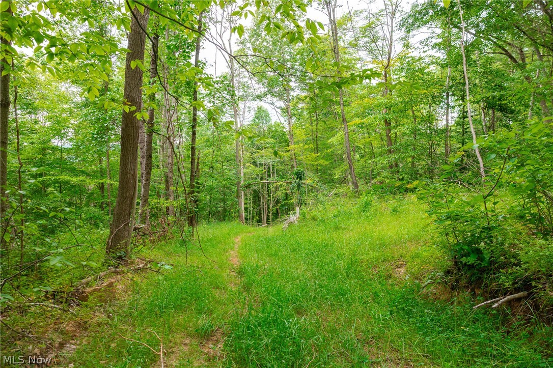 Sheepskin Road Lower Salem OH 45745