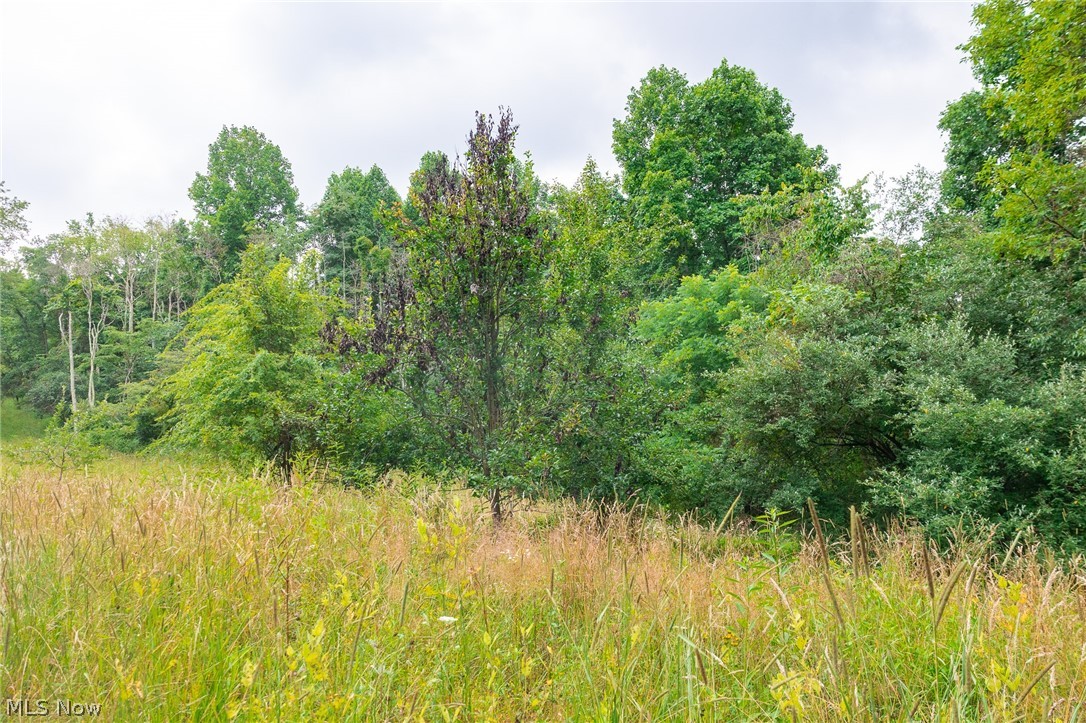Sheepskin Road Lower Salem OH 45745