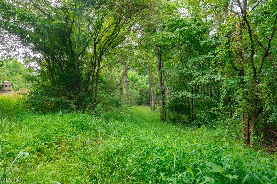 Sheepskin Road Lower Salem OH 45745