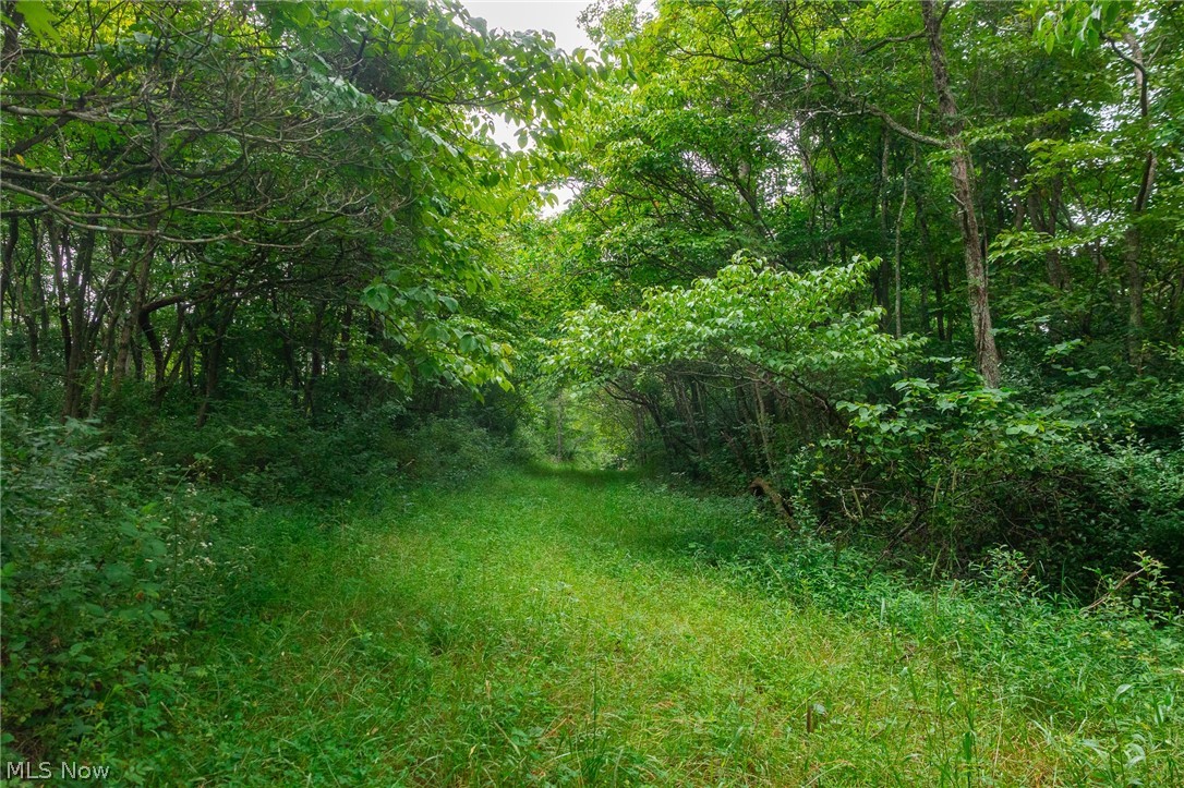 Sheepskin Road Lower Salem OH 45745