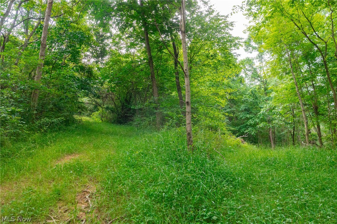 Sheepskin Road Lower Salem OH 45745