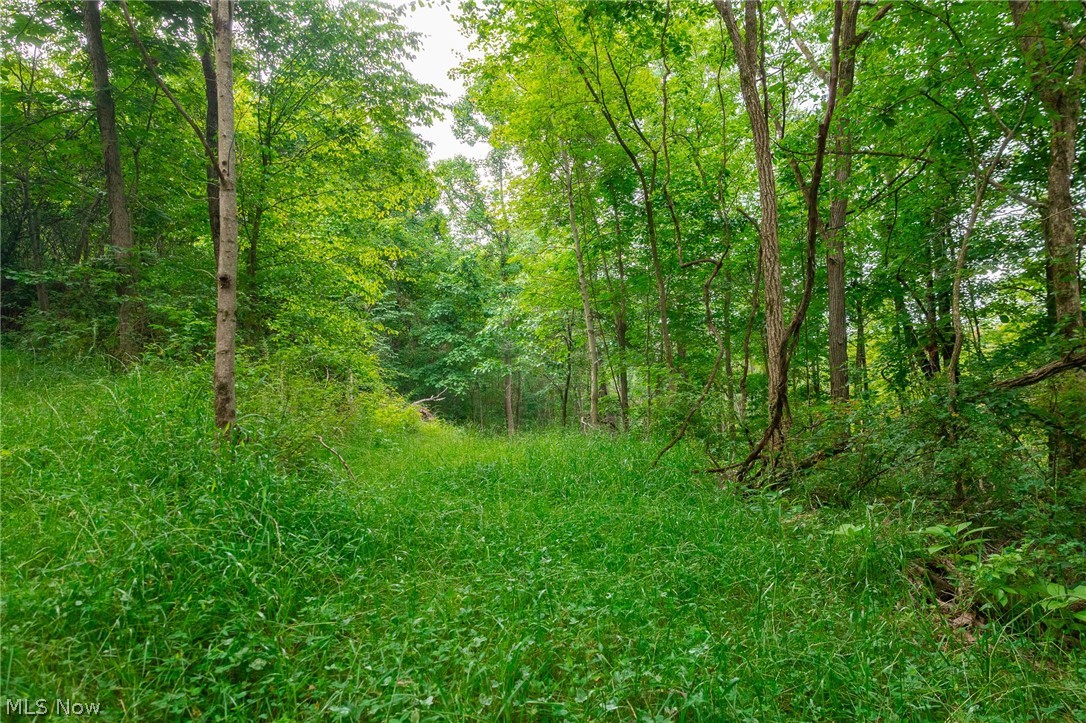 Sheepskin Road Lower Salem OH 45745