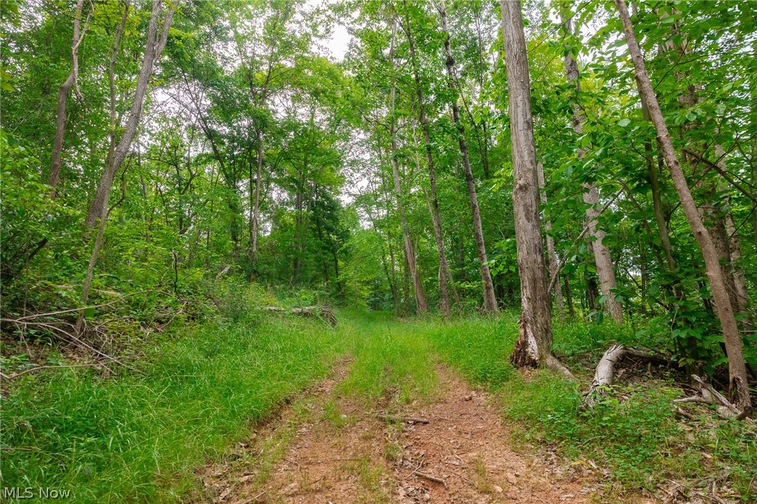 Sheepskin Road Lower Salem OH 45745