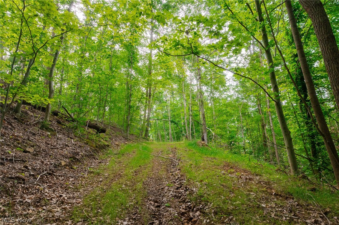 Sheepskin Road Lower Salem OH 45745