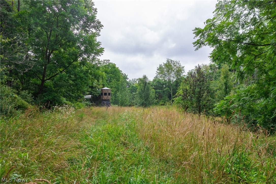 Sheepskin Road Lower Salem OH 45745