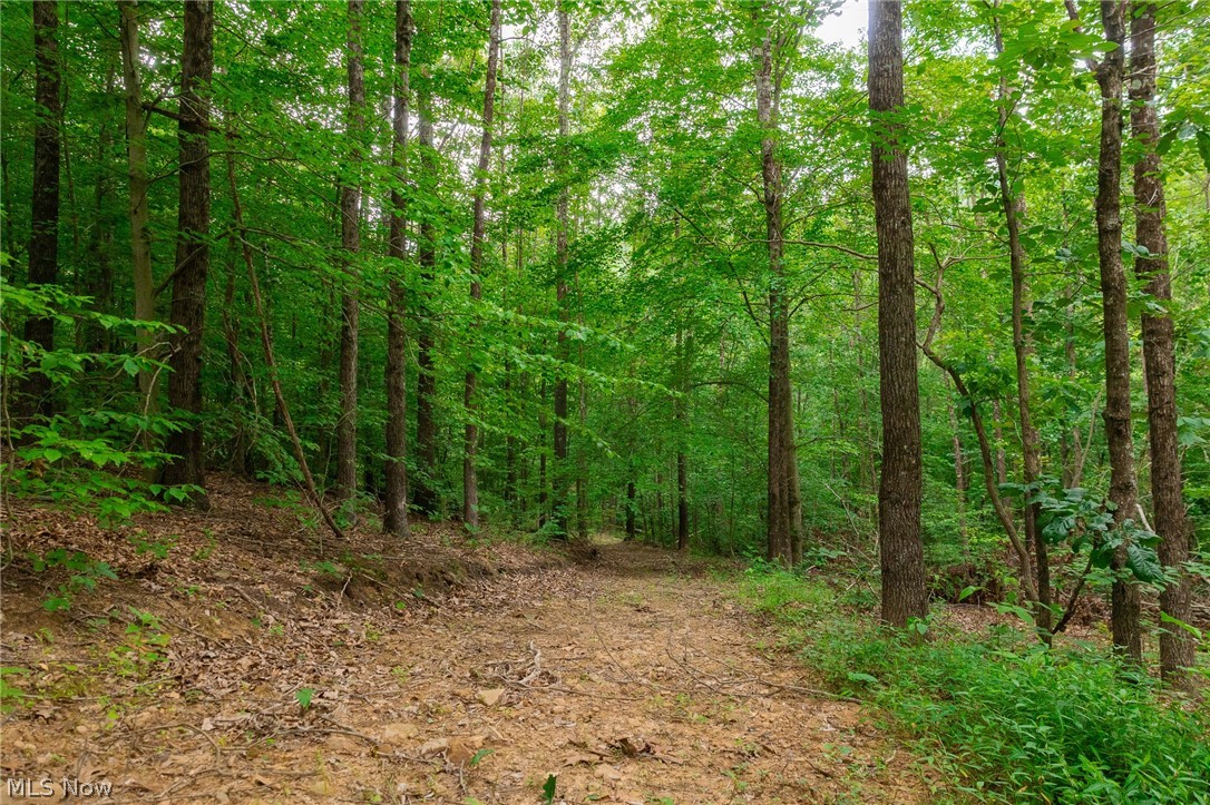 Sheepskin Road Lower Salem OH 45745