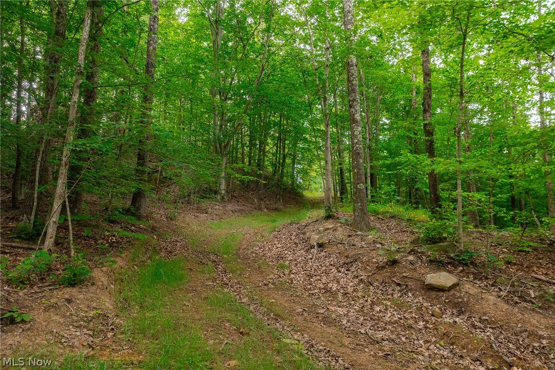 Sheepskin Road Lower Salem OH 45745