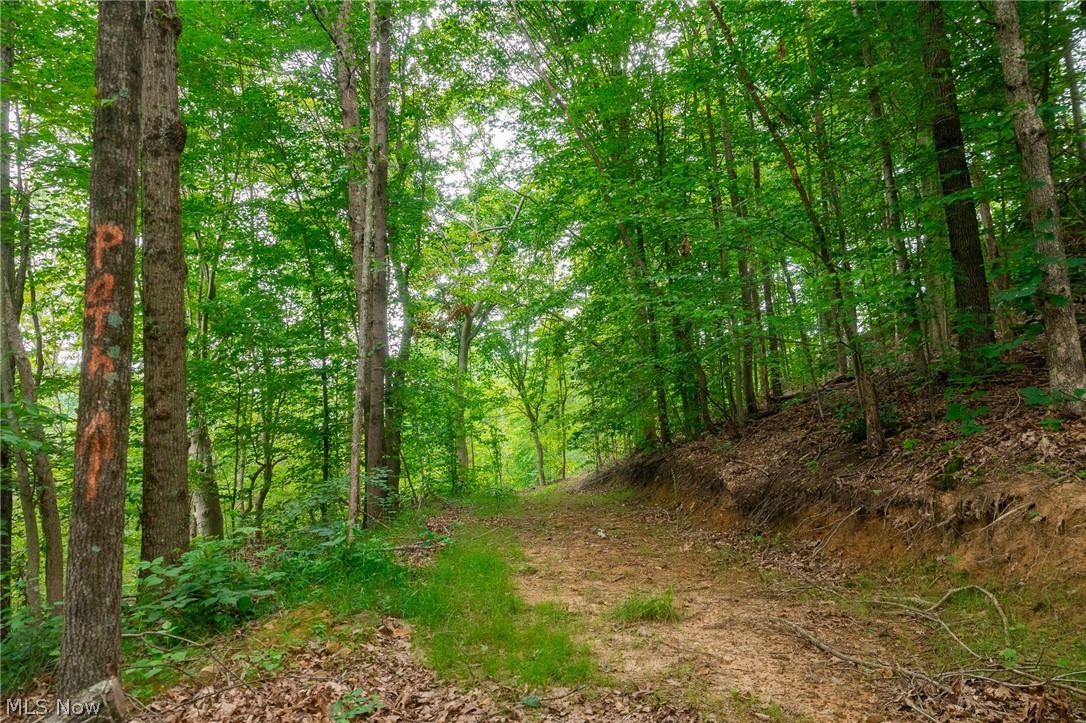 Sheepskin Road Lower Salem OH 45745