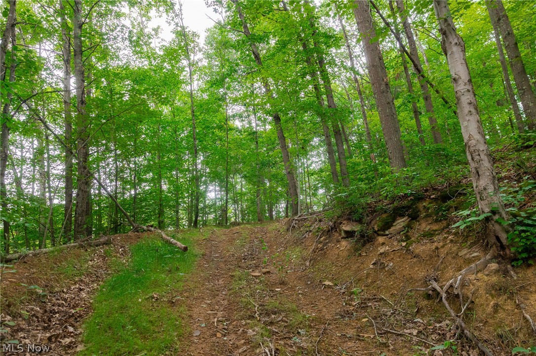 Sheepskin Road Lower Salem OH 45745