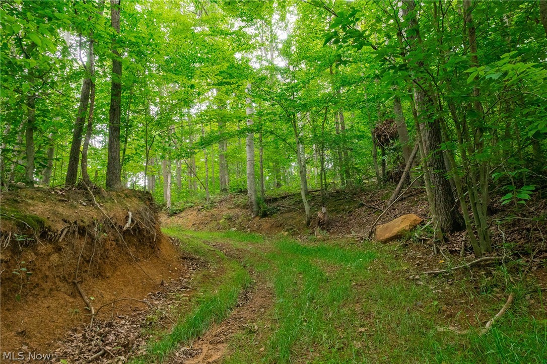Sheepskin Road Lower Salem OH 45745