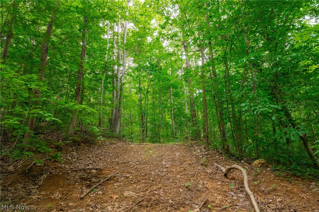 Sheepskin Road Lower Salem OH 45745