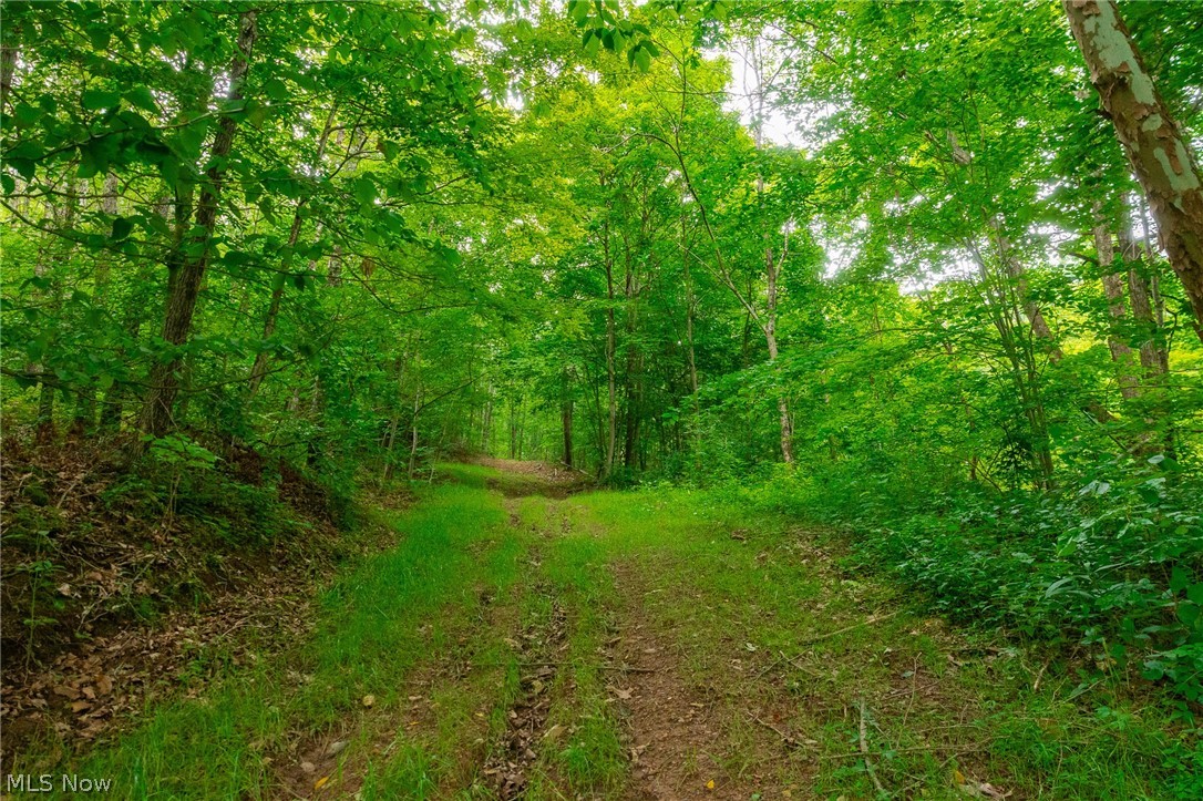 Sheepskin Road Lower Salem OH 45745