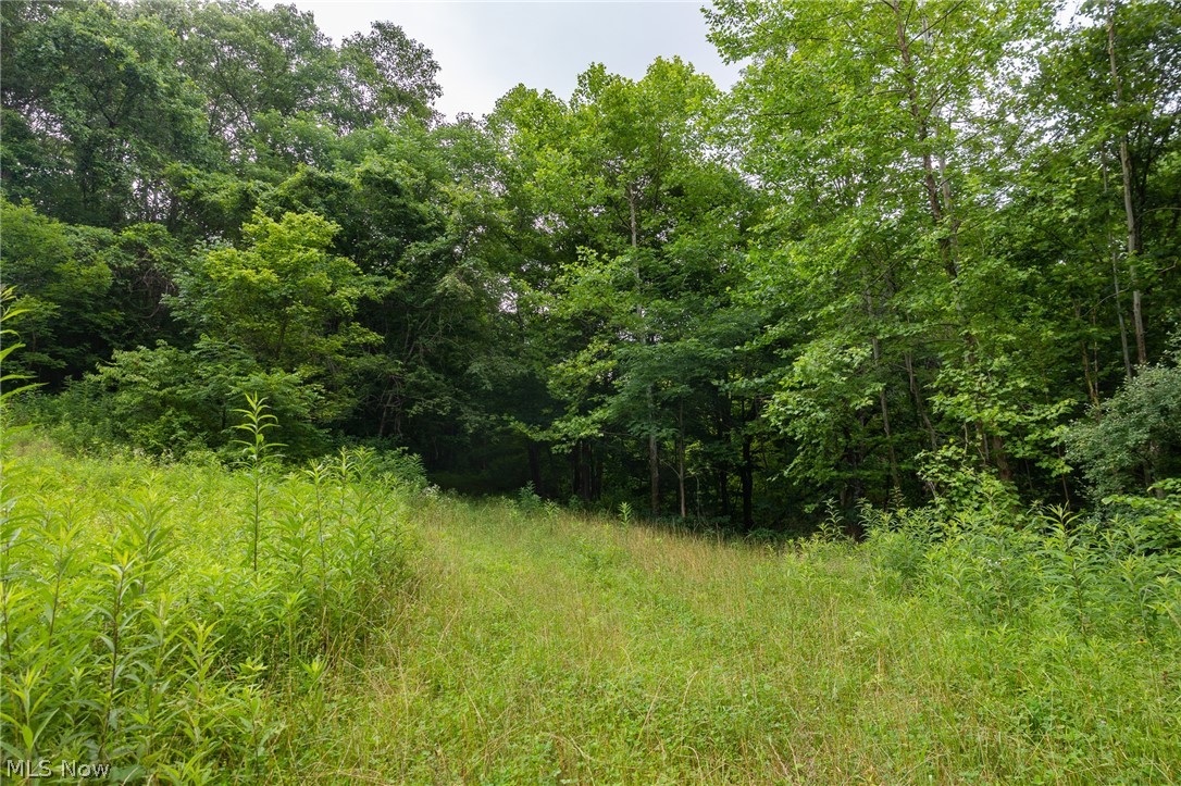 Sheepskin Road Lower Salem OH 45745