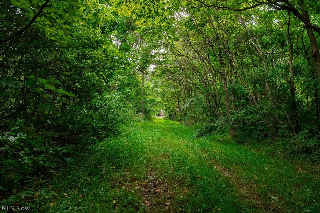 Sheepskin Road Lower Salem OH 45745