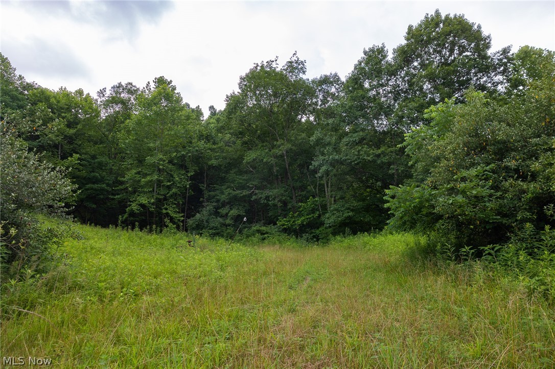 Sheepskin Road Lower Salem OH 45745