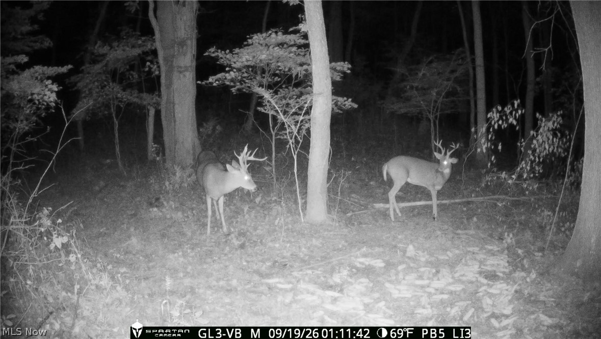 10772 Lawndell Road SW Navarre OH 44608