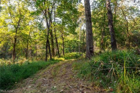 10772 Lawndell Road SW Navarre OH 44608
