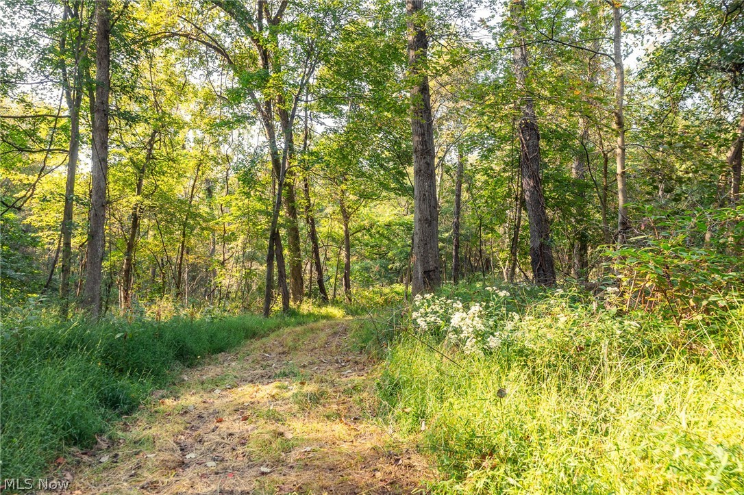 10772 Lawndell Road SW Navarre OH 44608