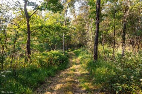 10772 Lawndell Road SW Navarre OH 44608