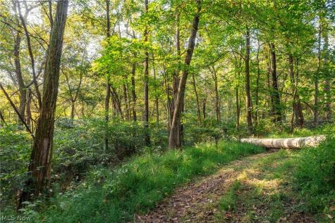 10772 Lawndell Road SW Navarre OH 44608