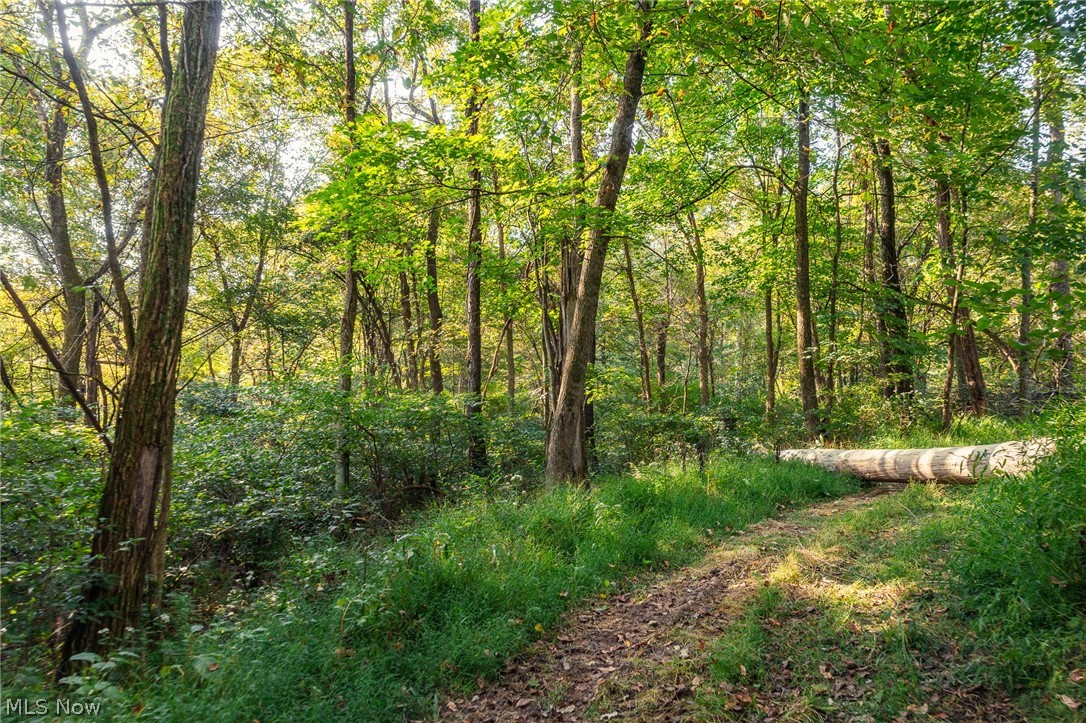 10772 Lawndell Road SW Navarre OH 44608