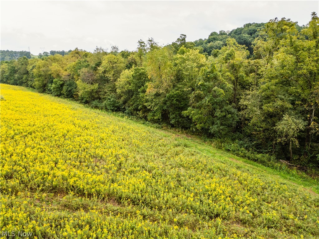 Trail 68 Dresden OH 43821