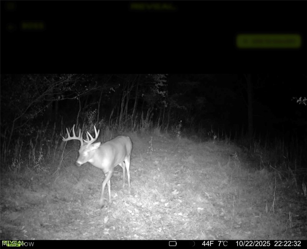Trail 68 Dresden OH 43821