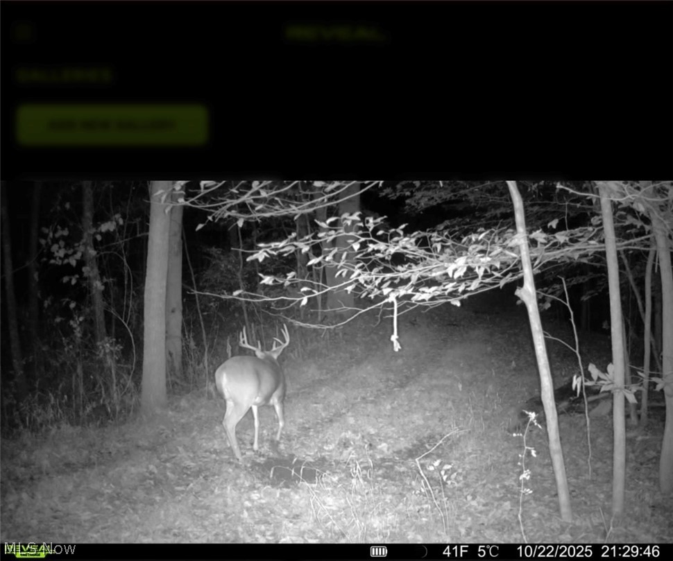 Trail 68 Dresden OH 43821