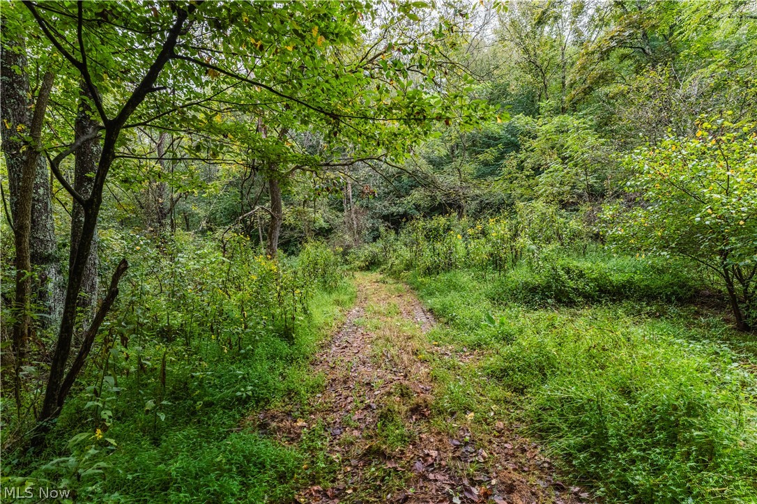 Trail 68 Dresden OH 43821