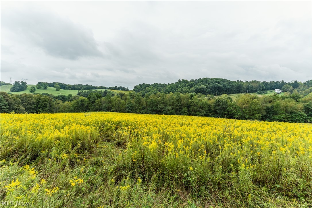 Trail 68 Dresden OH 43821