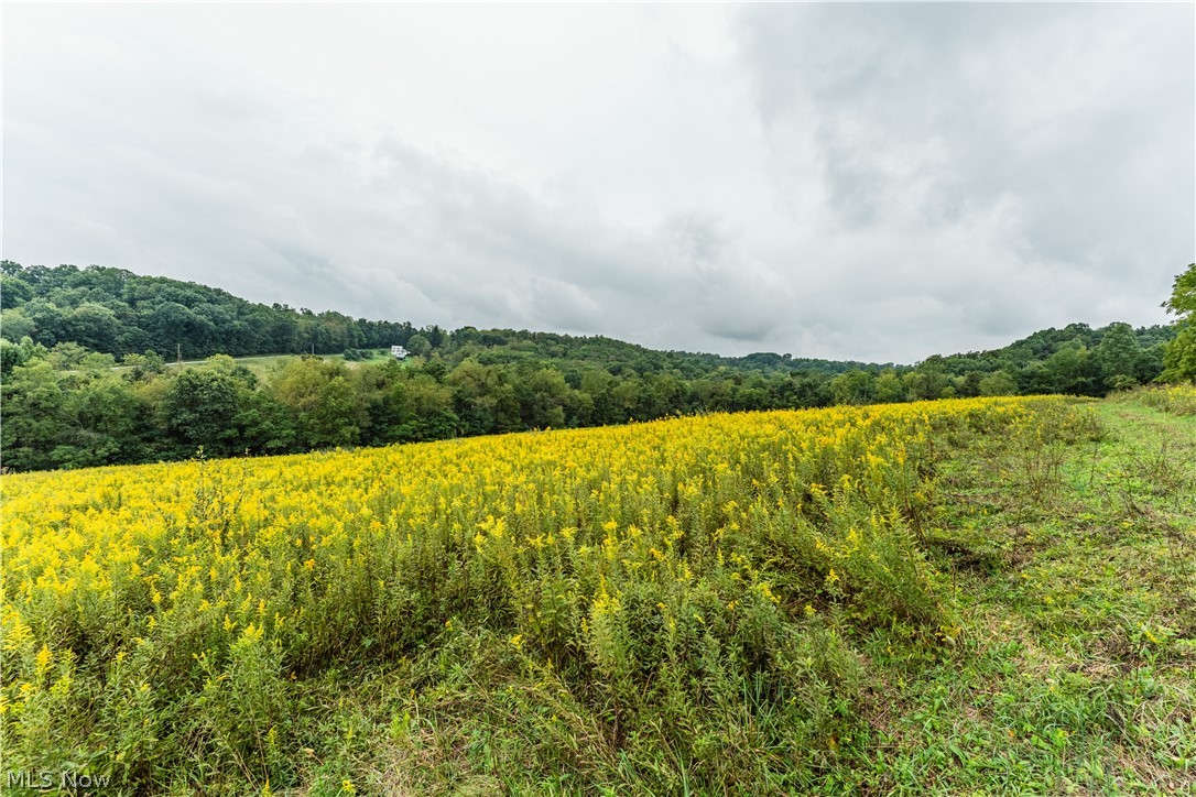 Trail 68 Dresden OH 43821