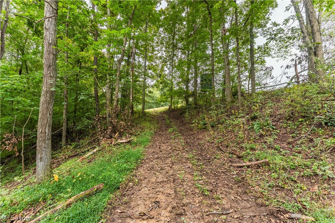 Trail 68 Dresden OH 43821