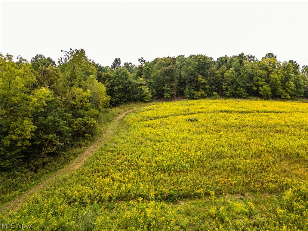 Trail 68 Dresden OH 43821