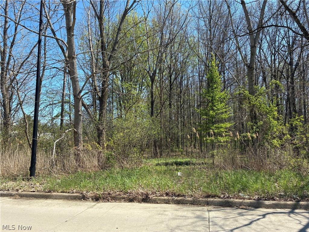 Sferra Avenue Warren OH 44483