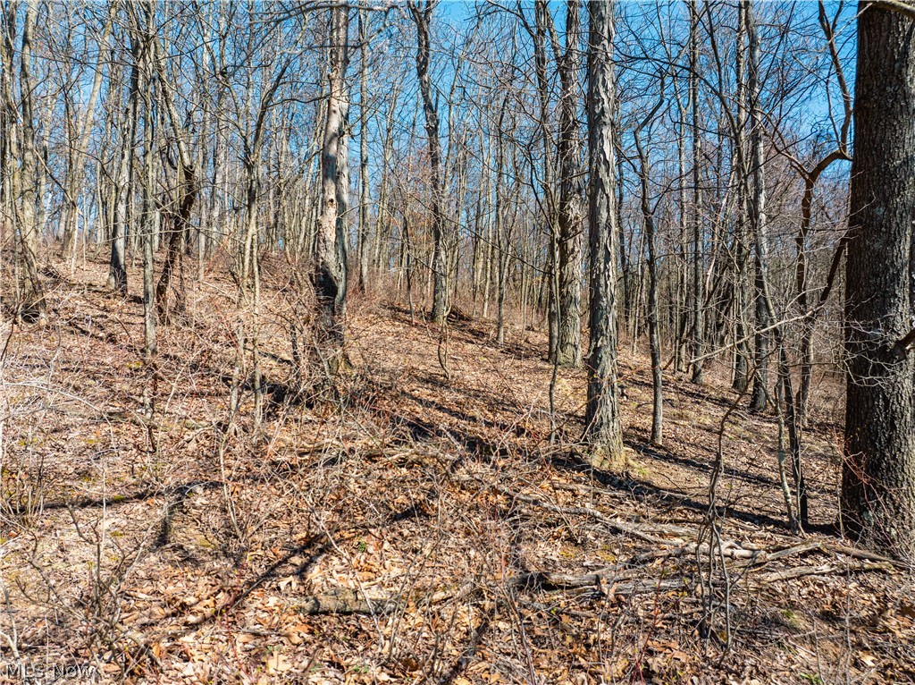 Burrier Road Jewett OH 43986