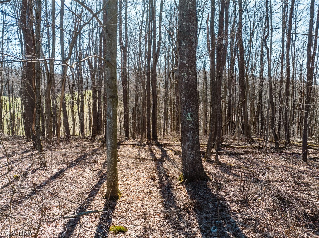 Burrier Road Jewett OH 43986
