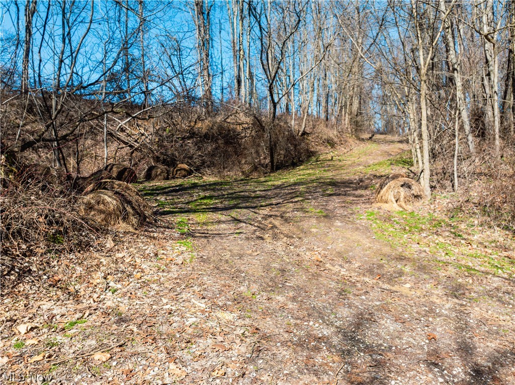 Burrier Road Jewett OH 43986