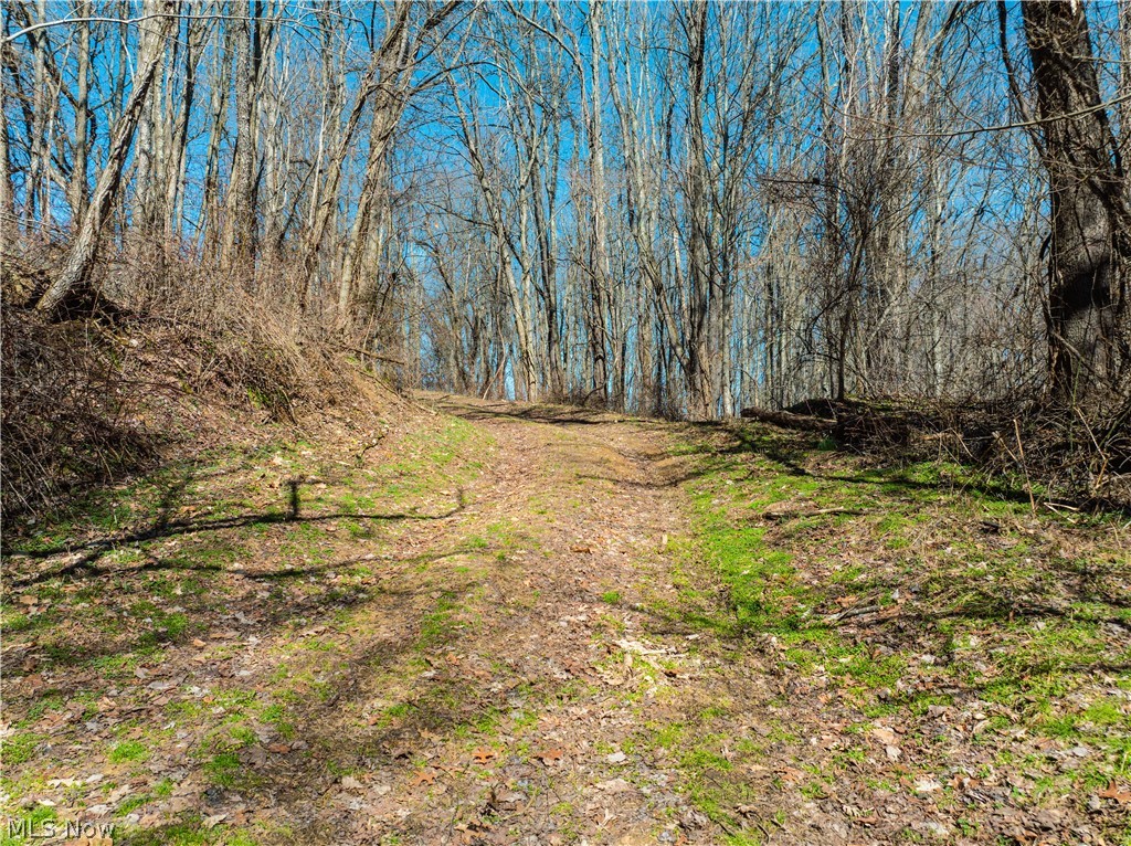 Burrier Road Jewett OH 43986
