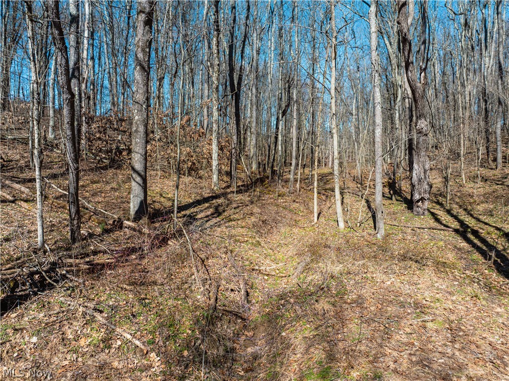 Burrier Road Jewett OH 43986