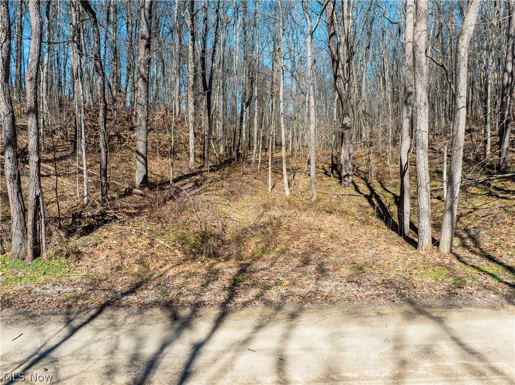 Burrier Road Jewett OH 43986