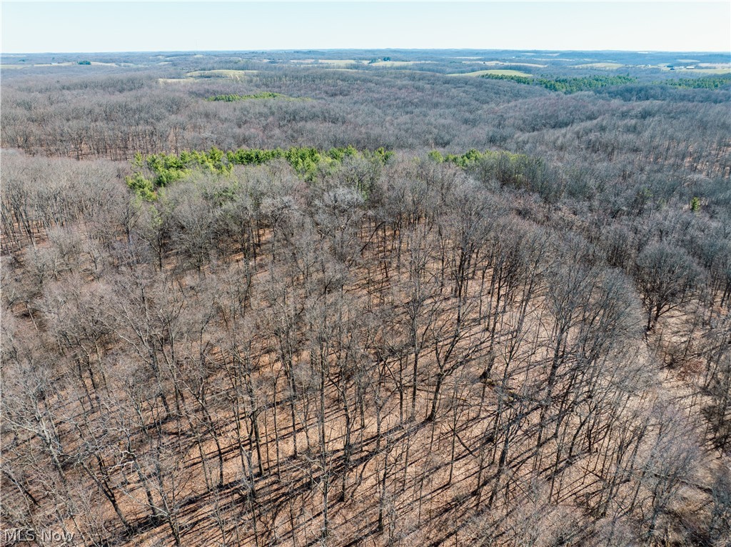 Burrier Road Jewett OH 43986