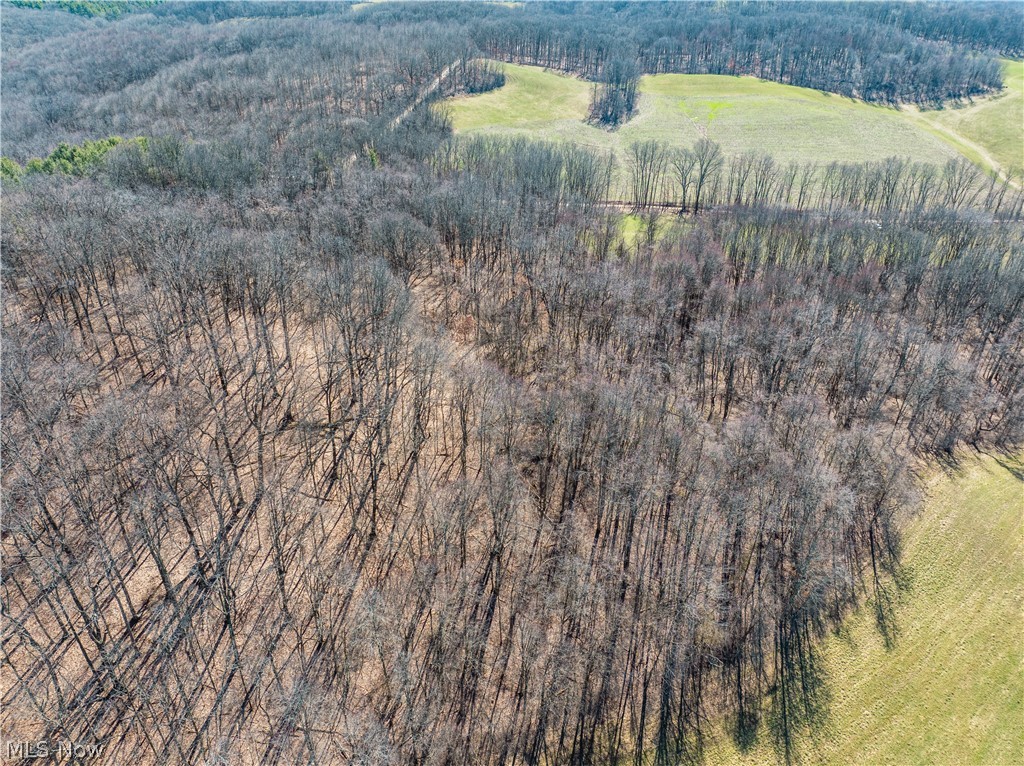 Burrier Road Jewett OH 43986