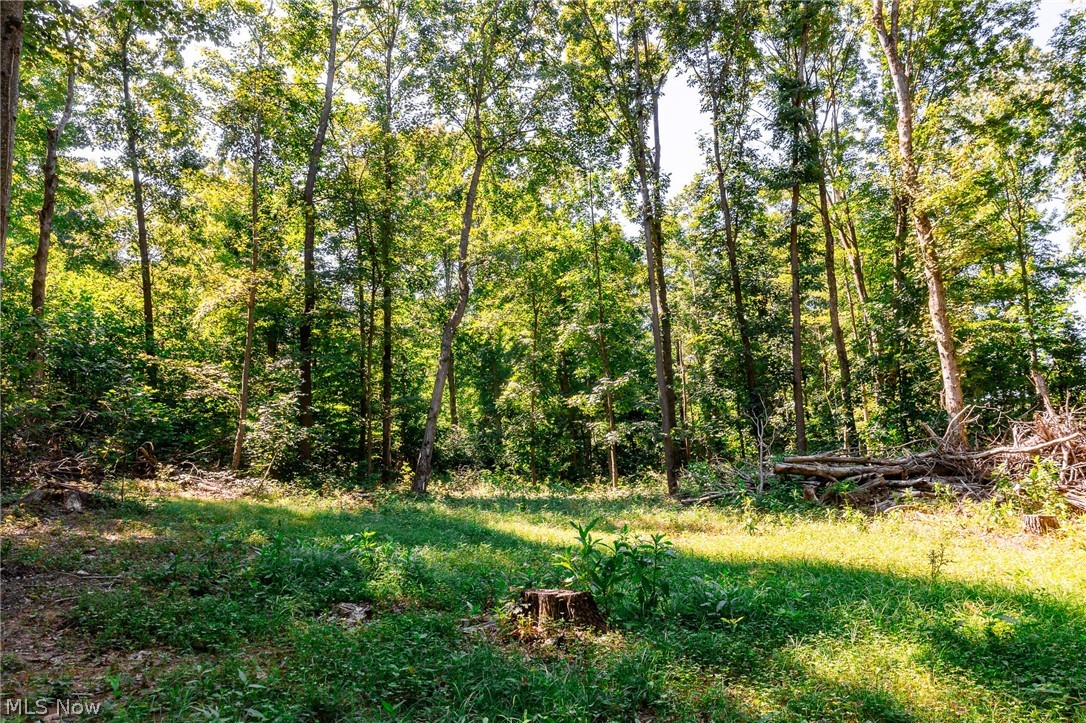 Kings Ridge Road Newcomerstown OH 43832